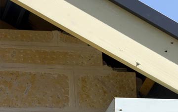 soffit repair Vagg